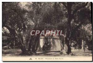 CPA Blida Marabout au Bois Sacre