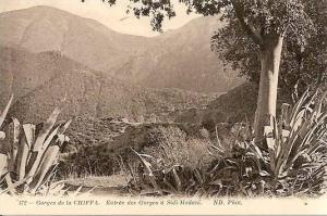 ENVIRONS DE BLIDA - GORGES DE LA CHIFFA - ENTREE DES GORGES A SIDI MADANI