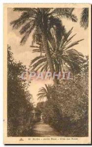 CPA Blida Jardin Bizot Allee des Roses