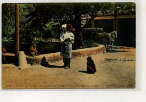 AFRIQUE                 ALGERIE         BLIDA