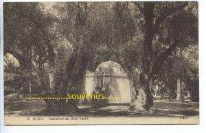 CPA   ALGERIE   BLIDA  Marabout au bois sacré - ** prix nets **