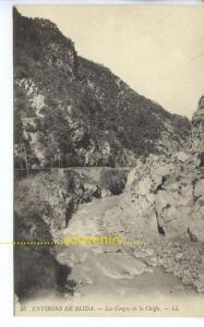 CPA   ALGERIE  environs de BLIDA les Gorges de la Chiffa - ** prix nets **