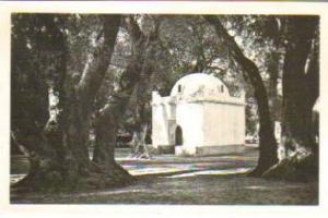 CPSM BLIDA LE BOIS SACRE MARABOUT DE SIDI YACOUB EDIT LIBRAIRIE A.MAUGUIN N°1