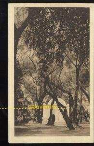 CPA   ALGERIE  BLIDA le bois sacré ** prix fixe **