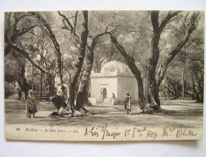 cpa, très belle vue animée, Blida, les bois sacrés