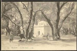 - CPA ALGERIE - Blida, le Bois Sacré