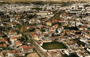 CPSM ALGERIE  Blida, avenue des Moulins