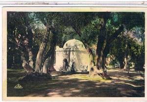 BLIDA  MARABOUT  AU  BOIS  SACRE     CPSM  BE