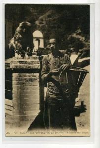 AFRIQUE    ALGERIE   BLIDA    LES SINGES