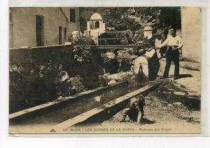 AFRIQUE    ALGERIE   BLIDA    LES SINGES