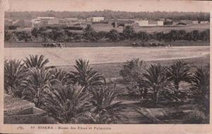 PORT GRATUIT    8500  BISKRA