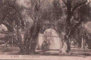 PORT GRATUIT    8300     BLIDA