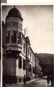 PORT GRATUIT    8270  BLIDA