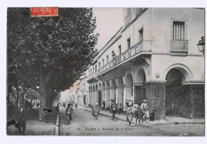 cpa BLIDA  Avenue de la gare 1908