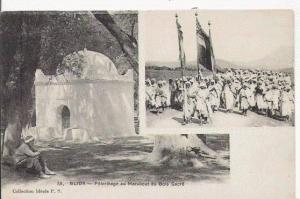 BLIDA 88 PELERINAGE AU MARABOUT DU BOIS SACRE