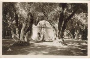 CPSM BLIDA (Algérie) - Marabout au Bois Sacré