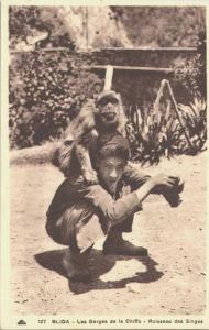 RUISSEAU DES SINGES  / LOT 569