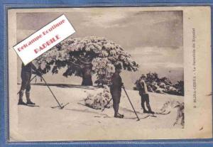 carte postale Algérie Blida Chrea  le parapluie du Koudiat  sous la neige trés beau plan