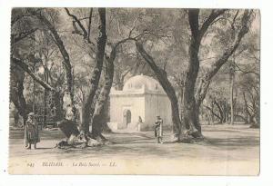 Blidah  avec un  H  ?   le bois sacré