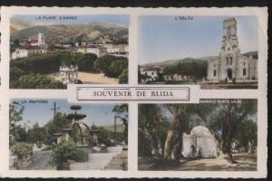 CPSM,N° 176, Souvenir de Bilda , Multivues  , Ed.  1955