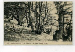 ALGERIE                BLIDA                  LES GLACIERES