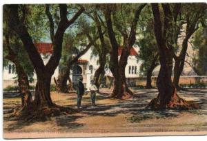 Blida - Les Ouvrier du Bois-Sacré