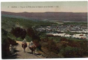 Blida - Vue sur la Ville prise du Chemin de la Glacière