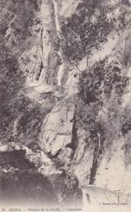 AFRIQUE DU NORD,FRANCE COLONIES,algerie française,BLIDA EN 1900,EL BOULEIDA,GEORGES,CHIFFA,C ASCADE,photo geiser
