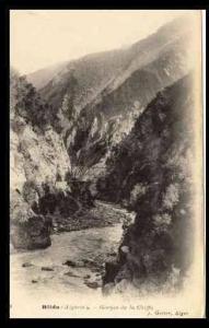 ALGERIE - BLIDA - GORGES DE LA CHIFFA - (CPA)
