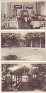 Lot de 3 CPA de BLIDA (Algérie) – L´Hôtel des Glacières  Restaurant, Tennis, Belvédère. Etbts Photo Albert, Alger.