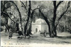 BLIDA (Algérie) – Le Bois Sacré. Editeur LL, n° 30. Animée.