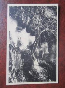 Blida Gorges de la Cliffa Cascades du Ruisseau des Singes Algerien CPA AK