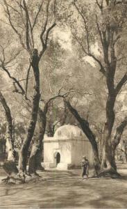 Blidah Le Bois Sacre