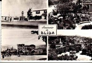 PORT GRATUIT    7350   BLIDA  1962