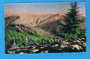 CPSM- Chréa- station estivale- vision sur l´Atlas Blidéen -Algérie