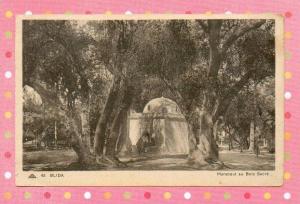CPA  ALGERIE  -  BLIDA  -  45  Marabout au Bois Sacré