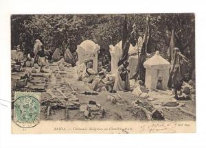 BLIDA, cérémonie Religieuse au Cimetière Arabe. ANIME.  N°11
