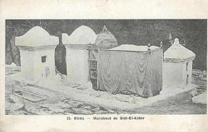 Fev13 168 Blida  -  Marabout de Sidi-El-Kébir