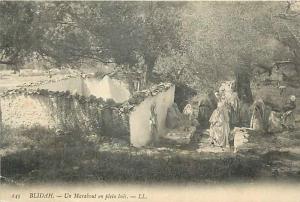 Fev13 160 Blida  -  Marabout  -  Bois