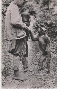 29 BLIDA  LA VALLEE DE CHIHHA