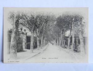 CPA précurseur - Algérie - BLIDA - N° 40 - Avenue Bizot