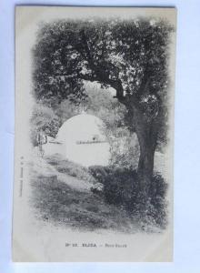 CPA précurseur - Algérie - BLIDA - N° 16 - Bois Sacré