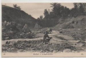 32  BLIDA   OUED  EL KEBIR