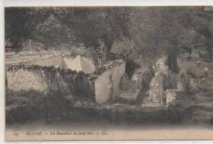 145  BLIDAH  MARABOUT EN PLEIN BOIS