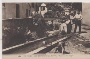 125  BLIDA  LES GORGeS DE LA CHIFFA  LE RUISSEAU DES SINFES