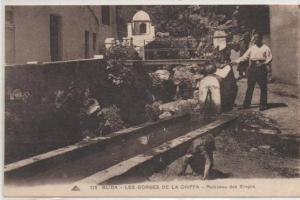 125  BLIDA  LES GORGZS DE LA CHIFFA RUISSEAU DES SINGES
