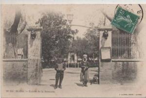 53 bis  BLIDA   ENTREE DE LA REMONTE