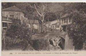 90 BLIDA  LES GORGES DE LA CHIFFA  HOTEL DU RUISSEAU