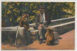 BLIDA  LES GORGES DE LA CHIFFA  A L'HOTEL DU RUIDDEAU