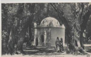 9 BLIDA  LE MARABOUT DE SISI  YACOUB